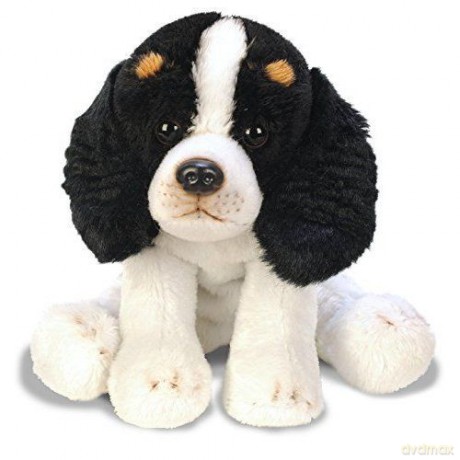 Piesek King Charles Spaniel