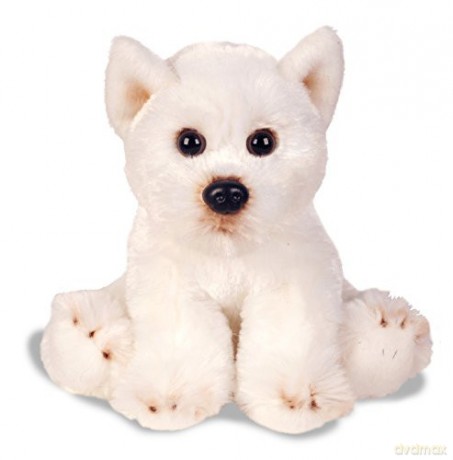 Piesek West Highland Terrier