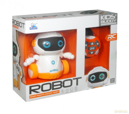 Robot