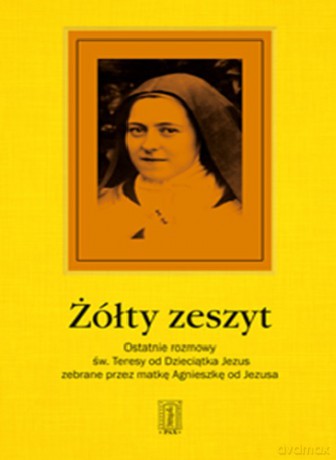 Żółty Zeszyt [KSIĄŻKA]