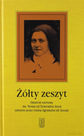 Żółty Zeszyt [KSIĄŻKA]