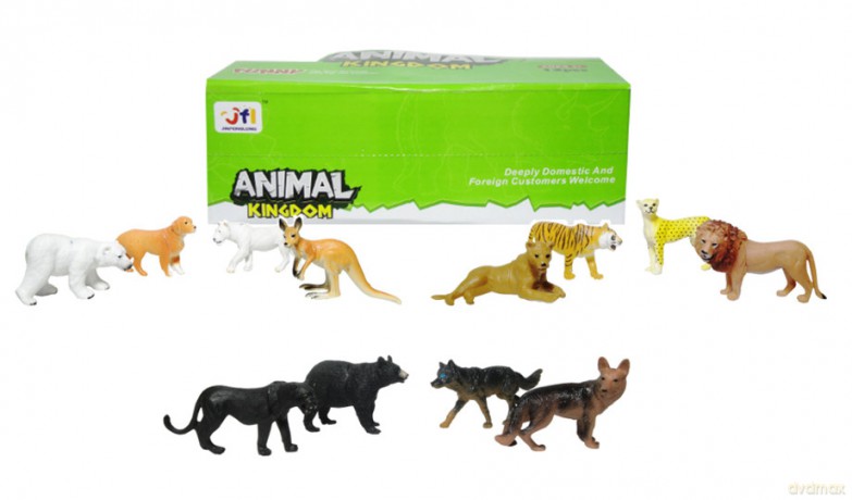 Zwierzeta animal