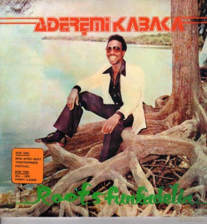 Remi Kabaka: Roots Funkadelia [Winyl]