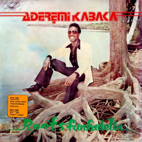 Remi Kabaka: Roots Funkadelia [Winyl]