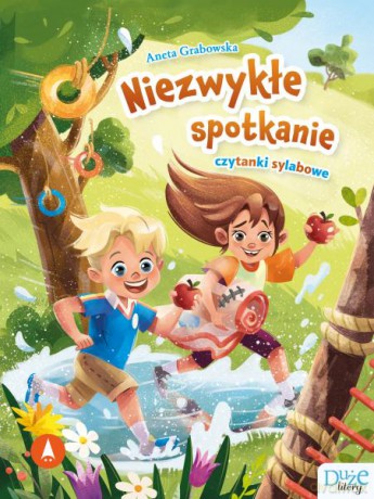 Niezwykłe spotkanie. Czytanki sylabowe - Aneta Grabowska, Milena Molenda [KSIĄŻKA]