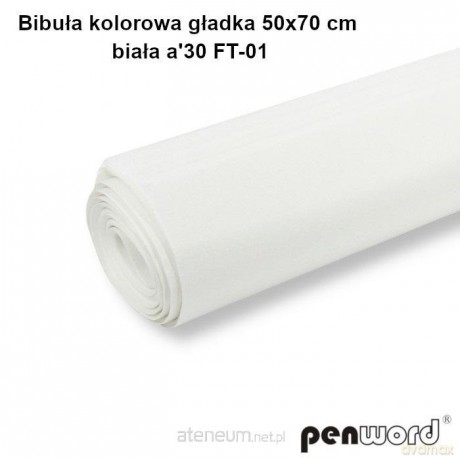 Bibuła kolorowa gładka biała 50x70cm 30 arkuszy