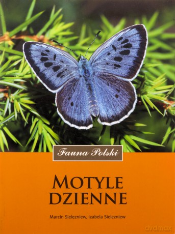 Motyle dzienne - Izabela Sielezniew, Marcin Sielezniew [KSIĄŻKA]