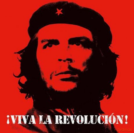 Viva La Revolucion [Winyl]