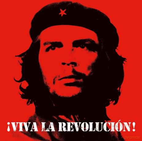 Viva La Revolucion [Winyl]
