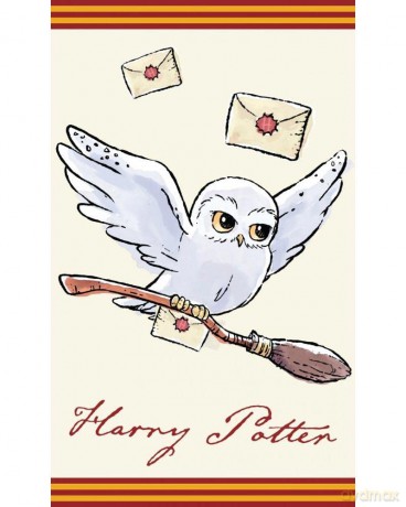 HARRY POTTER Ręcznik drukowany 30x50HP213003-R 100