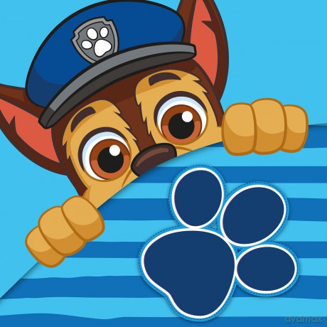 PAW PATROL Ręcznik drukowany Magic towel 30x30 PAW205012-R 36
