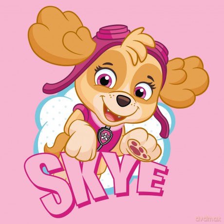 PAW PATROL Ręcznik drukowany Magic Towel 30x30 PAW223013-MT 36