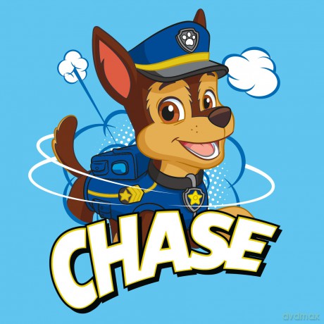 PAW PATROL Ręcznik drukowany Magic Towel 30x30 PAW223014-MT 36
