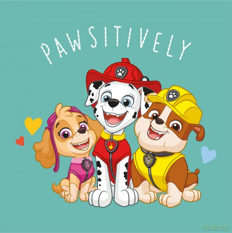 PAW PATROL Ręcznik drukowany Magic Towel 30x30 PAW224069-MT 36