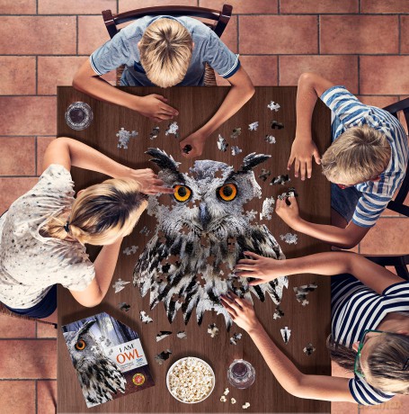 Puzzle konturowe - I am Owl 550el [PUZZLE]