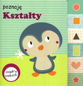 Mądry maluch. Poznaję kształty [KSIĄŻKA]