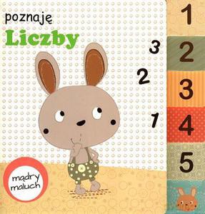 Mądry maluch. Poznaję liczby [KSIĄŻKA]