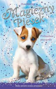 Podniebna przygoda. Magiczny piesek - Bentley Sue [KSIĄŻKA]