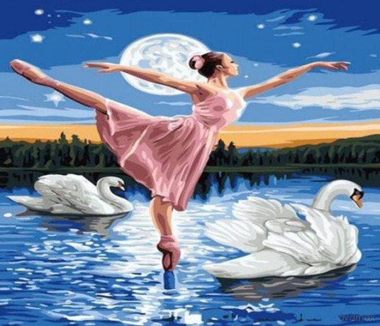 Malowanie po numerach Balerina tańcząca na jeziorze 40x50cm 1008945
