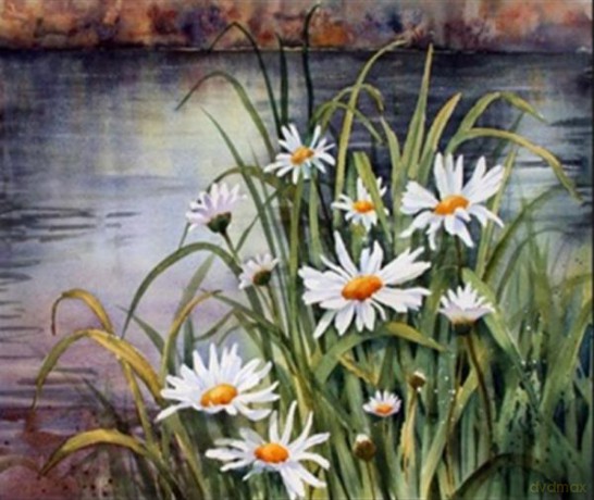 Malowanie po numerach Stokrotki nad rzeką 40x50cm 1007688