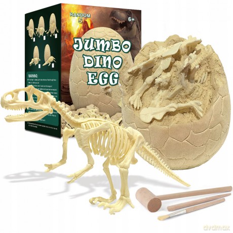 Skamielina jajo szkielet dinozaura 1009968