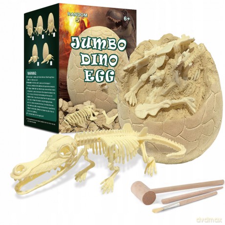 Skamielina jajo szkielet dinozaura 1009968