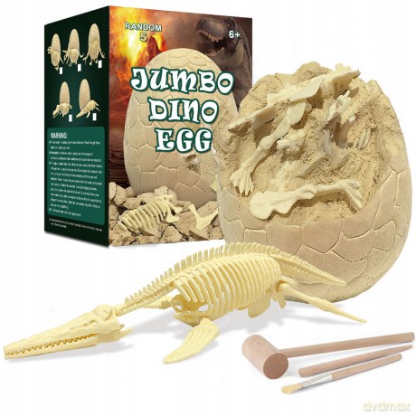 Skamielina jajo szkielet dinozaura 1009968