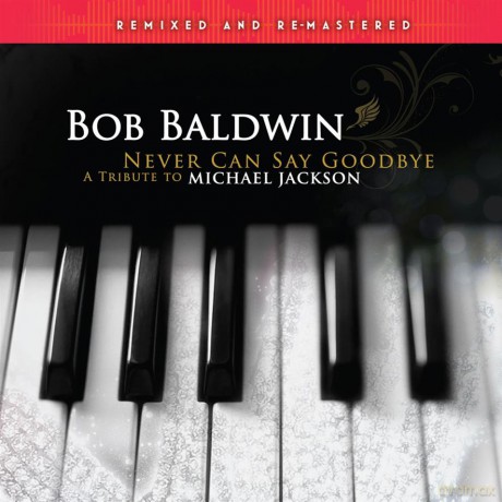 Bob Baldwin: Never Can Say Goodbye [2xWinyl]