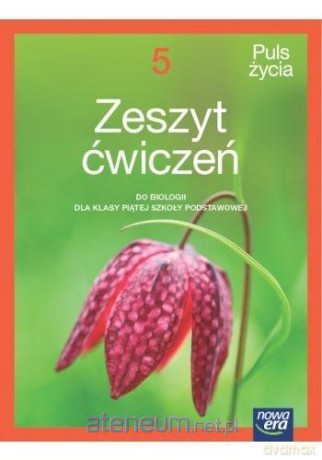 Biologia Szkoła podstawowa 5 Puls życia neon Ćwiczenie - Holeczek Jolanta, Pawłowski Jacek, Pawłowska Jolanta [KSIĄŻKA]