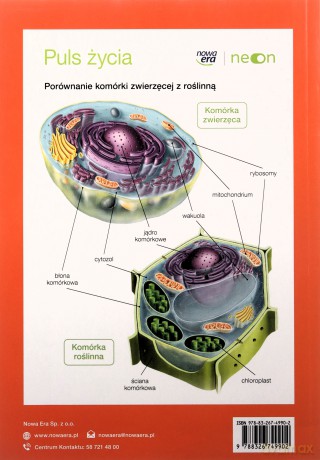 Biologia Szkoła podstawowa 5 Puls życia neon Podręcznik - Sęktas Marian, Stawarz Joanna [KSIĄŻKA]