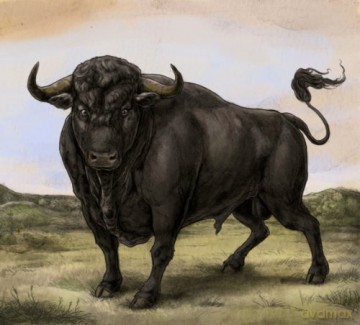 San Fermin: San Fermin [WINYL]+[CD]