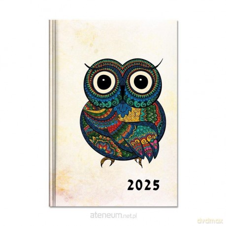 Kalendarz 2025 książkowy B6 dzienny Sowa [KALENDARZ]