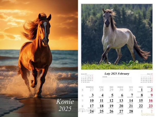 Kalendarz 2025 ścienny Konie [KALENDARZ]