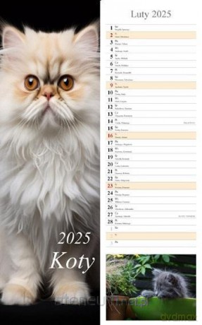 Kalendarz 2025 ścienny pasek Koty [KALENDARZ]