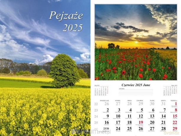 Kalendarz 2025 ścienny Pejzaże [KALENDARZ]