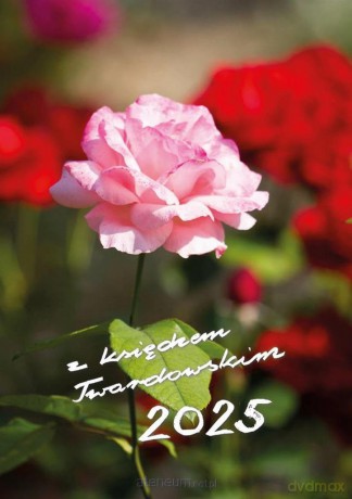 Kalendarz 2025 z ks. Twardowskim - róża [KALENDARZ]