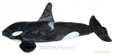 Orka 80cm
