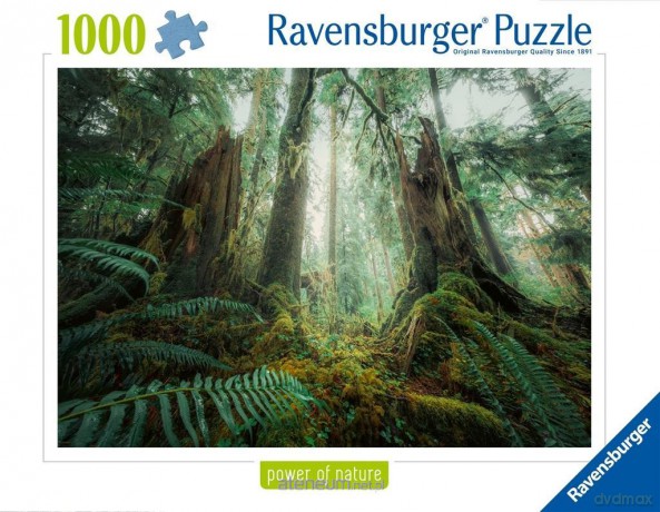 RAVENSBURGER 1000 el. Lasy [PUZZLE]