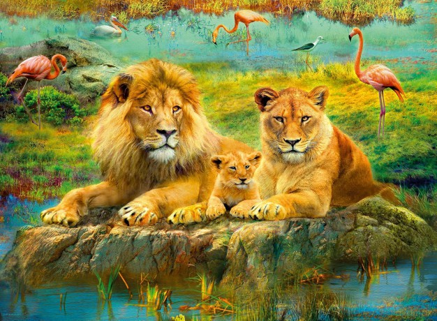 RAVENSBURGER 2D 500 el. Dzika przyroda [PUZZLE]