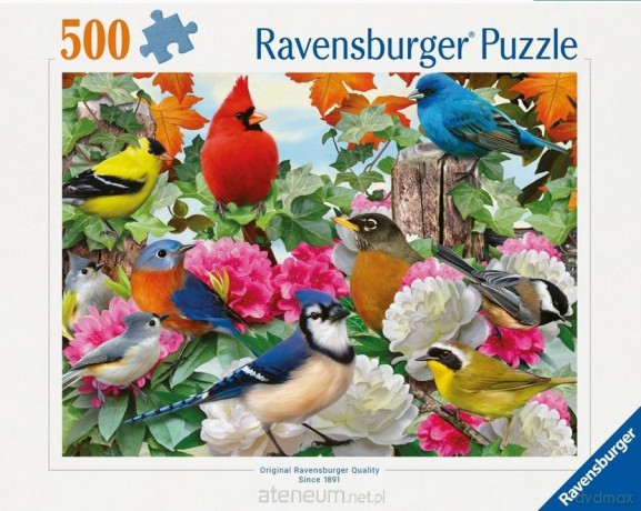 RAVENSBURGER 2D 500 el. Ptaki ogrodowe [PUZZLE]