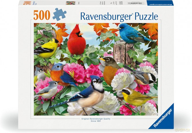 RAVENSBURGER 2D 500 el. Ptaki ogrodowe [PUZZLE]