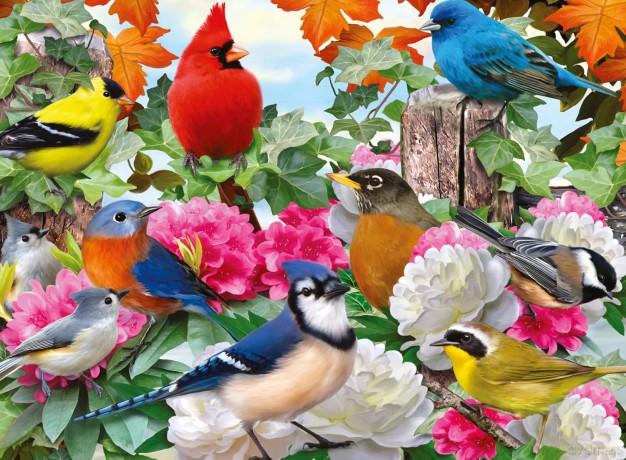 RAVENSBURGER 2D 500 el. Ptaki ogrodowe [PUZZLE]