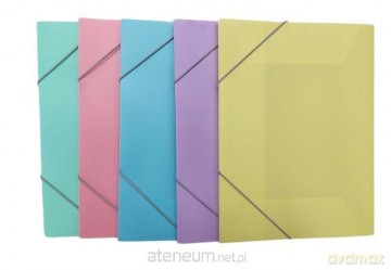Teczka A4 z gumką (12szt)