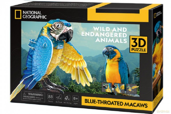 Cubic Fun puzzle 3D Zagroż.zwierz.Ara szafir.10977