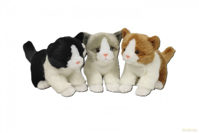 Kotki 18cm 3kolory 04730