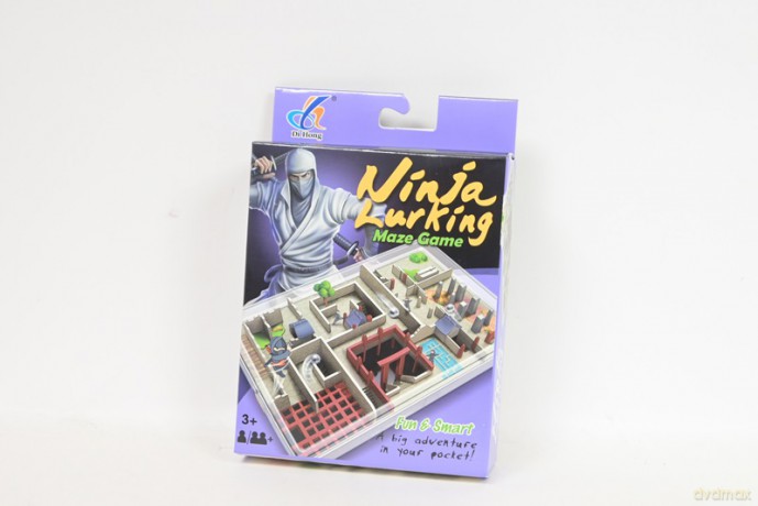 Labirynt Ninja w pudełku 1344000 40002