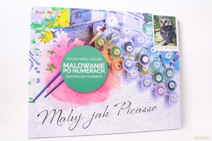 Malowanie po numer.Sowa na gałęzi 1008989