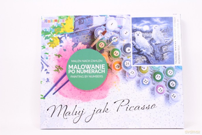 Malowanie po numer.Sowy i księżyc 100922