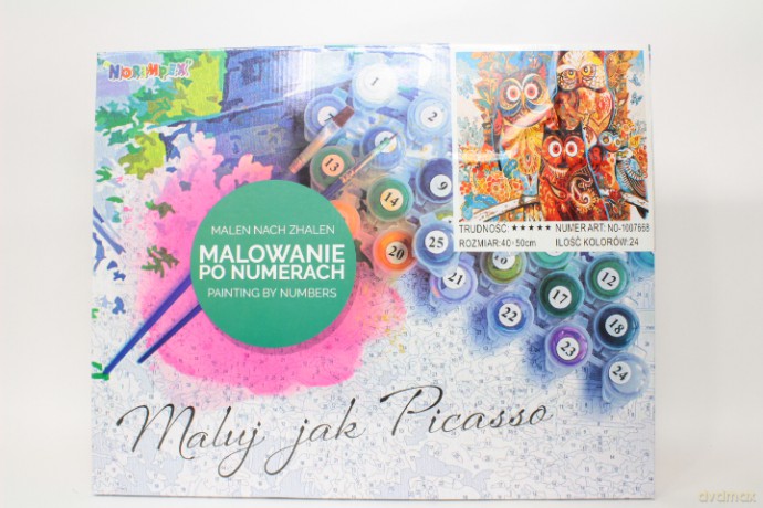 Malowanie po numerach Sowy 1007668