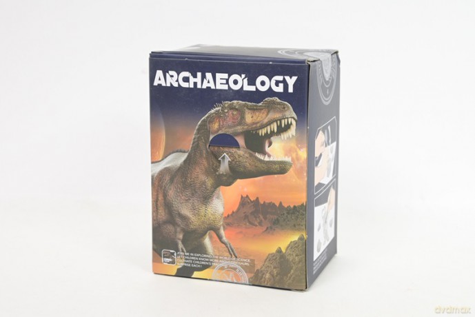 Skamielina jajo dinozaura 6wz 1009962